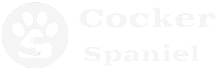 Cocker Spaniel For Sale